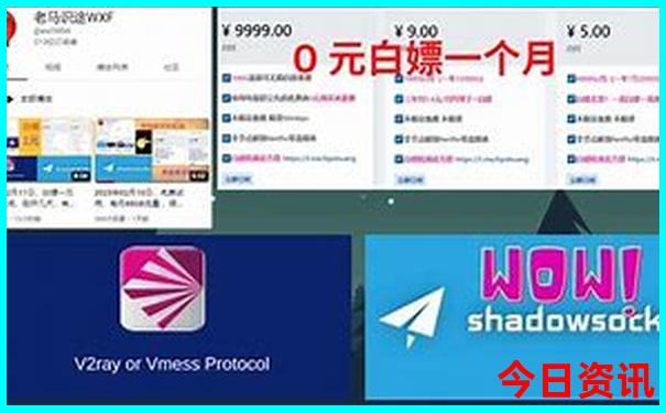 江西悬棺在哪个景区